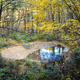 Illustration for article titled 48 Photos Of Autumn Around The World